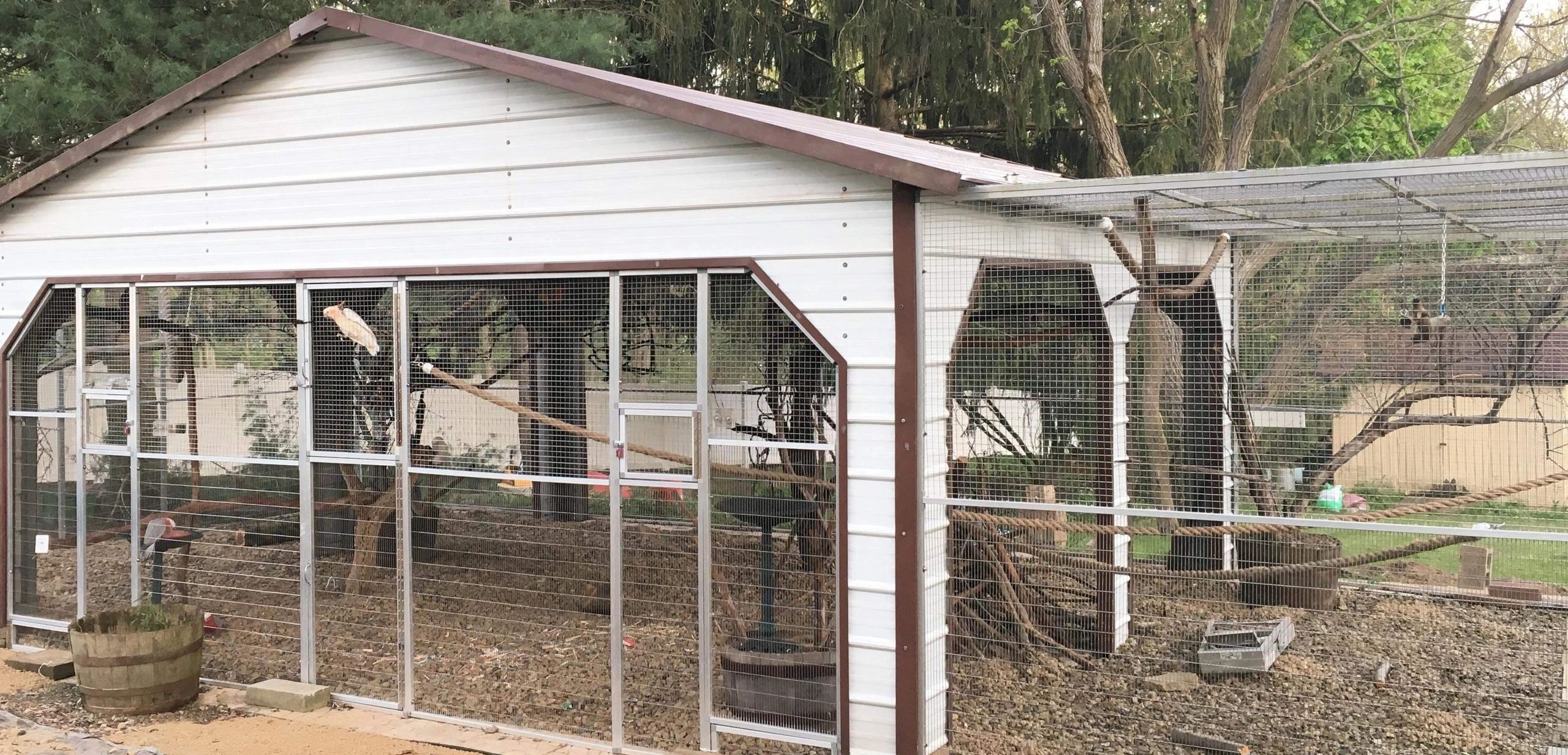 Image showcasing Wingspan Parrot Sanctuary | Wingspan Parrot Sanctuary